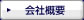 インターネットマーケティングソリューション：会社概要